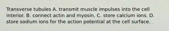 Transverse tubules A. transmit muscle impulses into the cell interior. B. connect actin and myosin. C. store calcium ions. D. store sodium ions for the action potential at the cell surface.