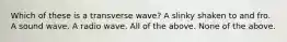 Which of these is a transverse wave? A slinky shaken to and fro. A sound wave. A radio wave. All of the above. None of the above.