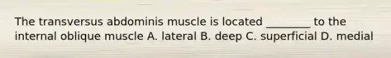 The transversus abdominis muscle is located ________ to the internal oblique muscle A. lateral B. deep C. superficial D. medial