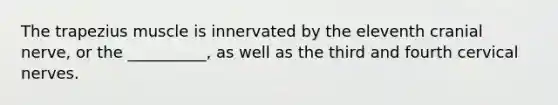 The trapezius muscle is innervated by the eleventh cranial nerve, or the __________, as well as the third and fourth cervical nerves.