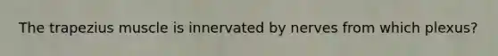 The trapezius muscle is innervated by nerves from which plexus?