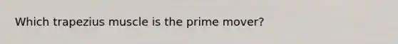 Which trapezius muscle is the prime mover?