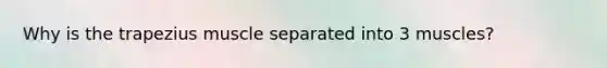 Why is the trapezius muscle separated into 3 muscles?