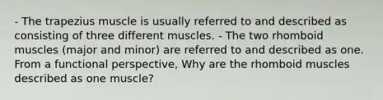 - The trapezius muscle is usually referred to and described as consisting of three different muscles. - The two rhomboid muscles (major and minor) are referred to and described as one. From a functional perspective, Why are the rhomboid muscles described as one muscle?