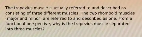 The trapezius muscle is usually referred to and described as consisting of three different muscles. The two rhomboid muscles (major and minor) are referred to and described as one. From a functional perspective, why is the trapezius muscle separated into three muscles?