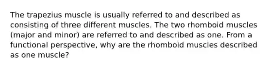 The trapezius muscle is usually referred to and described as consisting of three different muscles. The two rhomboid muscles (major and minor) are referred to and described as one. From a functional perspective, why are the rhomboid muscles described as one muscle?