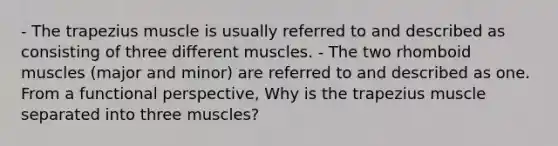 - The trapezius muscle is usually referred to and described as consisting of three different muscles. - The two rhomboid muscles (major and minor) are referred to and described as one. From a functional perspective, Why is the trapezius muscle separated into three muscles?