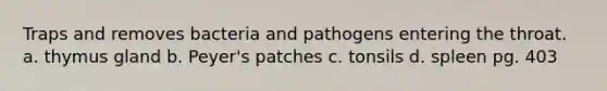 Traps and removes bacteria and pathogens entering the throat. a. thymus gland b. Peyer's patches c. tonsils d. spleen pg. 403