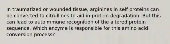 In traumatized or wounded tissue, arginines in self proteins can be converted to citrullines to aid in protein degradation. But this can lead to autoimmune recognition of the altered protein sequence. Which enzyme is responsible for this amino acid conversion process?