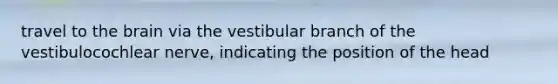 travel to the brain via the vestibular branch of the vestibulocochlear nerve, indicating the position of the head