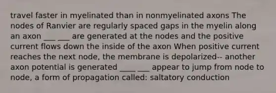 travel faster in myelinated than in nonmyelinated axons The nodes of Ranvier are regularly spaced gaps in the myelin along an axon ___ ___ are generated at the nodes and the positive current flows down the inside of the axon When positive current reaches the next node, the membrane is depolarized-- another axon potential is generated ____ ___ appear to jump from node to node, a form of propagation called: saltatory conduction