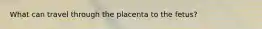 What can travel through the placenta to the fetus?