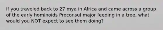 If you traveled back to 27 mya in Africa and came across a group of the early hominoids Proconsul major feeding in a tree, what would you NOT expect to see them doing?