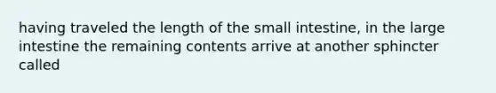 having traveled the length of the small intestine, in the large intestine the remaining contents arrive at another sphincter called