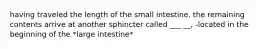 having traveled the length of the small intestine. the remaining contents arrive at another sphincter called ___ __, -located in the beginning of the *large intestine*