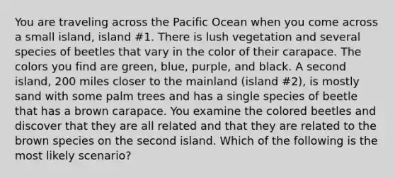 You are traveling across the Pacific Ocean when you come across a small island, island #1. There is lush vegetation and several species of beetles that vary in the color of their carapace. The colors you find are green, blue, purple, and black. A second island, 200 miles closer to the mainland (island #2), is mostly sand with some palm trees and has a single species of beetle that has a brown carapace. You examine the colored beetles and discover that they are all related and that they are related to the brown species on the second island. Which of the following is the most likely scenario?