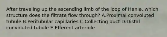 After traveling up the ascending limb of the loop of Henle, which structure does the filtrate flow through? A.Proximal convoluted tubule B.Peritubular capillaries C.Collecting duct D.Distal convoluted tubule E.Efferent arteriole