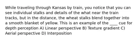 While traveling through Kansas by train, you notice that you can see individual stalks and details of the what near the train tracks, but in the distance, the wheat stalks blend together into a smooth blanket of yellow. This is an example of the ____ cue for depth perception A) Linear perspective B) Texture gradient C) Aerial perspective D) Interposition