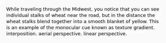 While traveling through the Midwest, you notice that you can see individual stalks of wheat near the road, but in the distance the wheat stalks blend together into a smooth blanket of yellow. This is an example of the monocular cue known as texture gradient. interposition. aerial perspective. linear perspective.