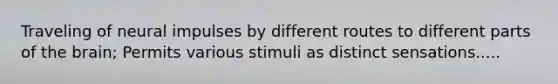 Traveling of neural impulses by different routes to different parts of the brain; Permits various stimuli as distinct sensations.....