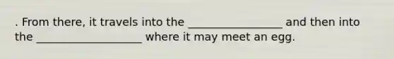 . From there, it travels into the _________________ and then into the ___________________ where it may meet an egg.