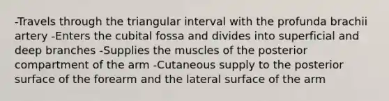 -Travels through the triangular interval with the profunda brachii artery -Enters the cubital fossa and divides into superficial and deep branches -Supplies the muscles of the posterior compartment of the arm -Cutaneous supply to the posterior surface of the forearm and the lateral surface of the arm