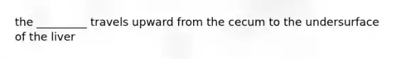 the _________ travels upward from the cecum to the undersurface of the liver