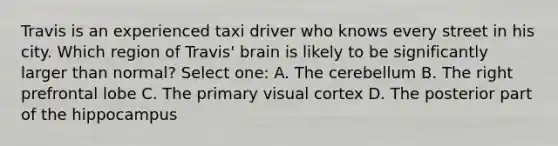 Travis is an experienced taxi driver who knows every street in his city. Which region of Travis' brain is likely to be significantly larger than normal? Select one: A. The cerebellum B. The right prefrontal lobe C. The primary visual cortex D. The posterior part of the hippocampus