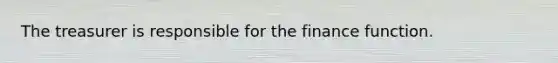 The treasurer is responsible for the finance function.