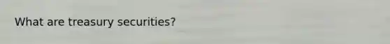 What are treasury securities?