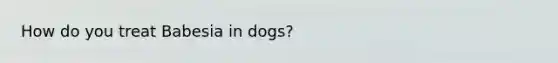 How do you treat Babesia in dogs?