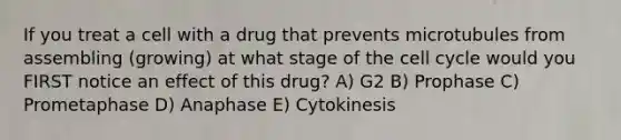 If you treat a cell with a drug that prevents microtubules from assembling (growing) at what stage of the cell cycle would you FIRST notice an effect of this drug? A) G2 B) Prophase C) Prometaphase D) Anaphase E) Cytokinesis