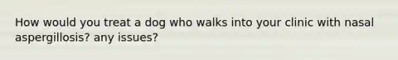 How would you treat a dog who walks into your clinic with nasal aspergillosis? any issues?