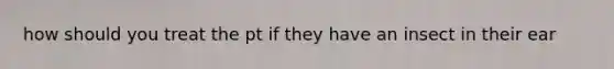 how should you treat the pt if they have an insect in their ear
