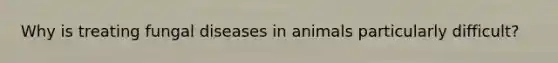 Why is treating fungal diseases in animals particularly difficult?