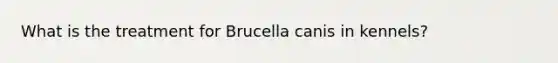 What is the treatment for Brucella canis in kennels?