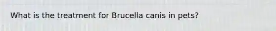 What is the treatment for Brucella canis in pets?