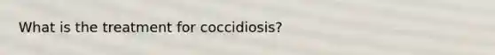 What is the treatment for coccidiosis?