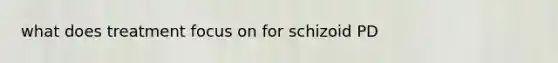 what does treatment focus on for schizoid PD
