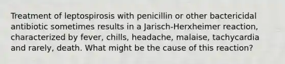 Treatment of leptospirosis with penicillin or other bactericidal antibiotic sometimes results in a Jarisch-Herxheimer reaction, characterized by fever, chills, headache, malaise, tachycardia and rarely, death. What might be the cause of this reaction?