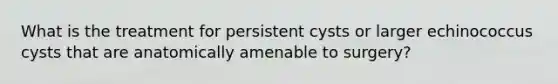 What is the treatment for persistent cysts or larger echinococcus cysts that are anatomically amenable to surgery?