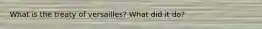 What is the treaty of versailles? What did it do?