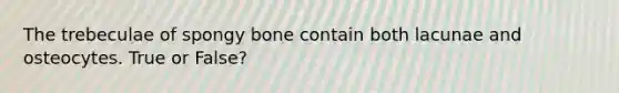 The trebeculae of spongy bone contain both lacunae and osteocytes. True or False?