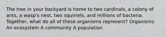 The tree in your backyard is home to two cardinals, a colony of ants, a wasp's nest, two squirrels, and millions of bacteria. Together, what do all of these organisms represent? Organisms An ecosystem A community A population