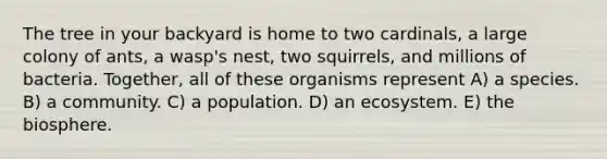 The tree in your backyard is home to two cardinals, a large colony of ants, a wasp's nest, two squirrels, and millions of bacteria. Together, all of these organisms represent A) a species. B) a community. C) a population. D) an ecosystem. E) the biosphere.