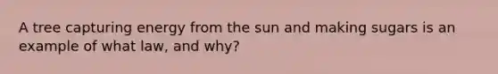 A tree capturing energy from the sun and making sugars is an example of what law, and why?