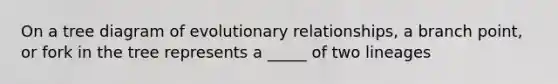 On a tree diagram of evolutionary relationships, a branch point, or fork in the tree represents a _____ of two lineages