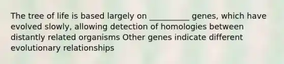 The tree of life is based largely on __________ genes, which have evolved slowly, allowing detection of homologies between distantly related organisms Other genes indicate different evolutionary relationships