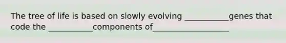 The tree of life is based on slowly evolving ___________genes that code the ___________components of___________________