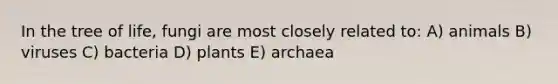 In the tree of life, fungi are most closely related to: A) animals B) viruses C) bacteria D) plants E) archaea